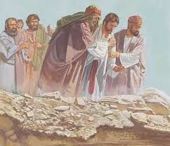 [Obrazek: images?q=tbn:ANd9GcSbqbgLvNHknw0Hi4lZEDQ...HC82E50w&s]