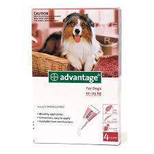 Learn how these symptoms can be treated and improve quality of life for you and your dog. Advantage 250 Red Spot On For Large Dogs 10 25kg 22 55lbs 4 Pack Ourpetworld Net