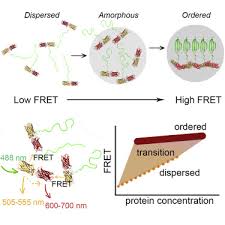 نتیجه جستجوی لغت [fret] در گوگل
