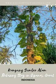Maybe you would like to learn more about one of these? Review Of Kampung Sumber Alam Garut Indonesia Asia Travel Garut Southeast Asia