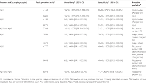 Frontiers Identification Of Klebsiella Pneumoniae