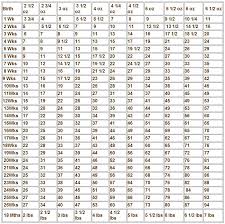 42 Rational Bernese Mountain Dog Weight Chart