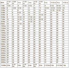 42 rational bernese mountain dog weight chart