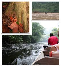 2020 top things to do in jerantut. Taman Negara National Park Wonderful Malaysia
