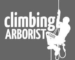 This includes a job description, salary, and training requirements. Becoming An Arborist Climbingarborist Com