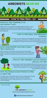 How To Trim Trees Diy Arborists Near Me Diy Tree Tree Tree Trimming