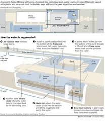 How The Natural Swimming Pool Filtration System Works Chemical Free Maintenance Free Other Than Weeding I Natural Swimming Pools Swimming Pools Natural Pool