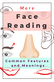 More Chinese Face Reading 12 Common Face Features And Meanings Picture Healer Feng Shui Craft Art Chinese Medicine more chinese face reading 12 common