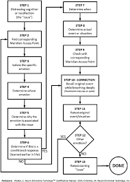 11 Rare Emotions Flow Chart