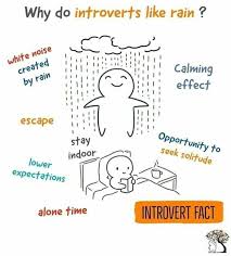 Someone who is shy, quiet, and prefers to spend time alone rather than often the introvert would be as much at risk as the extravert, as a differential would apply in the application. Pin On Introverts
