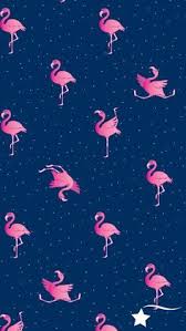 Destira Phone Wallpaper To Match Our Flippin Flamingos Leotard Cute Wallpapers Flamingo Wallpaper Unicorn Wallpaper