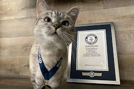 Since the government's recent announcement that. National Pet Day 8 Adorable Pets Who Have Broken Records Guinness World Records