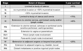 Learn what to look for here. Endometrial And Uterine Cancer Geeky Medics