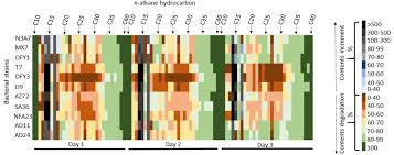 Excel telecommunication (m) sdn bhd unit 6, level 4, setiawalk mall (block k), persiaran wawasan, pusat bandar puchong, 47160 puchong, selangor, malaysia. Frontiers Microbial Biodegradation Of Paraffin Wax In Malaysian Crude Oil Mediated By Degradative Enzymes Microbiology