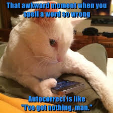 That Awkward Moment Http Cheezburger Com 9041796352 Funny Animals Funny Animal Memes Funny Cat Pictures