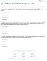 The list of 40 questions touches on different subject matters; Quiz Worksheet Irreversible Cellular Injury And Death Study Com