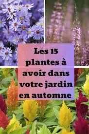 Les 15 Plantes A Avoir Dans Votre Jardin En Automne En 2020 Plante Jardins Jardin D Automne