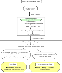 Schematic Representation Of The Pathophysiology Of Allergic