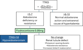 Image result for Transtubular Potassium Gradient