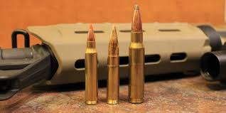 223 5 56 Vs 300 Blackout Vs 308 Winchester Which Is Best