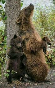 Oh Ya That S What I M Talking About Cute Animal Pictures Cute Animals Nature Animals
