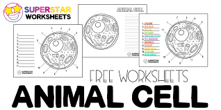 Maybe you would like to learn more about one of these? Animal Cell Worksheet Superstar Worksheets