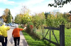 Neues Wohngebiet Fur Fellbach Baugebiet Kuhegarten Wird Uberraschend Erweitert Rems Murr Kreis Stuttgarter Zeitung