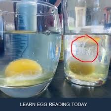 This is a very receptive area so e nergy tends. Cleanse With Egg Interpretation And Meaning 2020 Ritual Magic Spells Egg Cleansing Energy Cleanse Spiritual Cleansing
