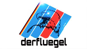 You can download in.ai,.eps,.cdr,.svg,.png formats. Afd Parteivorsitz Der Rechte Netzwerker Andreas Kalbitz Steht Bereit Stern De