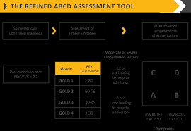 Image result for COPD Exacerbation Decision Tool