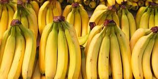 We did not find results for: 4 Fakta Pisang Cavendish Buah Favorit Dunia Yang Akan Dikembangkan Di Banyuwangi Merdeka Com