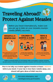 Image result for Travel Immunization