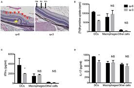 Susunan nya sama je lepas tengok yang korea, indon lepastu jepun. Frontiers New Insights Into Immunological Therapy For Retinal Disorders Immunology