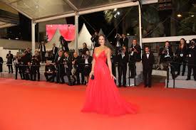 Se quiserem saber quem ganha na suécia, é falarem com a joaninha que ela acerta. Rita Pereira Arrasa No Festival De Cinema De Cannes
