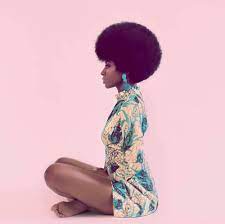 Singer Allison Black Photography By Fabiola Jean Louis Grab All Your Multicultural Hair Products At Natural Hair Styles Black Girl Aesthetic Black Beauties