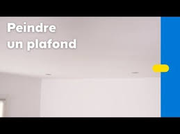 Comment Peindre Un Plafond Castorama Bon Shopping Com Peindre Un Plafond Comment Peindre Un Plafond Comment Peindre