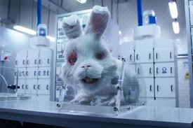 Ricky gervais & zac efron team up for #saveralph. Save Ralph An Animated Short Film Drops Bombs On Animal Testing For Cosmetic Products Finds Support From Unilever Vivomix