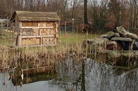 Encouraging Native Bees With Insect Walls Pith Vigor Cultivating Garden Style Native Bees Insect Wall Bee Houses