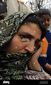 Zselect zadvisory hi-res stock photography and images