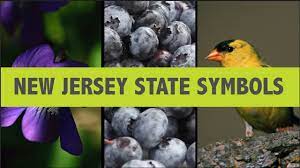 5 out of 5 stars. Do You Know These N J State Symbols Youtube