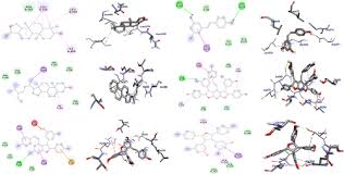 Image result for Cyphostemma crotalarioides