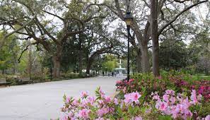 The summer time is hot, but many tourists dare to brave the heat because it's also. Springtime Flowers In Savannah And Though The Live Oaks Are Signature To