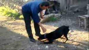 Satilik Kopay Youtube