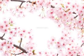 Mitchie m (music, lyrics)tsukasa ryugu (illust)tosao (video). æ²³æ´¥æ¡œ 10404010660 ã®å†™çœŸç´ æ ã‚¤ãƒ©ã‚¹ãƒˆç´ æ ã‚¢ãƒžãƒŠã‚¤ãƒ¡ãƒ¼ã‚¸ã‚º