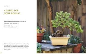 Get free shipping on qualified bonsai trees or buy online pick up in store today in the outdoors department. The Little Book Of Bonsai An Easy Guide To Caring For Your Bonsai Tree Dupuich Jonas 9780399582592 Amazon Com Books