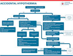 There are 6 key roles in the management of cardiac arrest after cardiac surgery (see here for the diagram of the roles from. Https Cprguidelines Eu Assets Guidelines Resus 8904 Special Circs Pdf