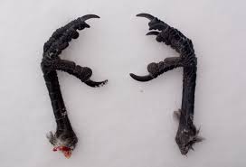 МВД РФ предлагает приносить присягу России у братских могил - Цензор.НЕТ 3951