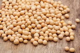 Image result for Brazzeia soyauxii