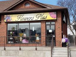 Locally owned for 25 years, flowers by sue is a staple in the hilton head community, delivering fresh. About Flowers Plus Reviews Hours Delivery In Sarnia On