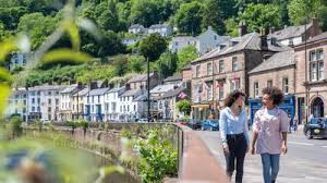 Image result for Fadogiella